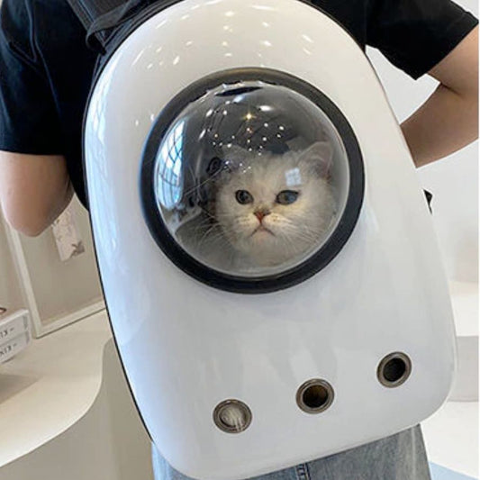 Pet Hardshell Traveling Backpack