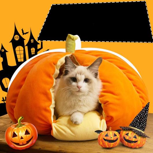 Extra Plush Cat Pumpkin Bed