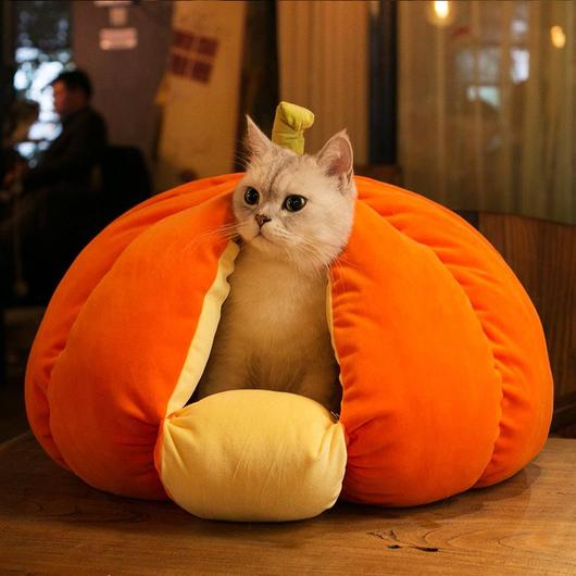 Extra Plush Cat Pumpkin Bed