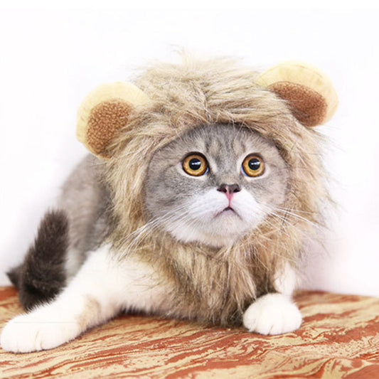 Funny Pet Hat For Small Dogs/Cats