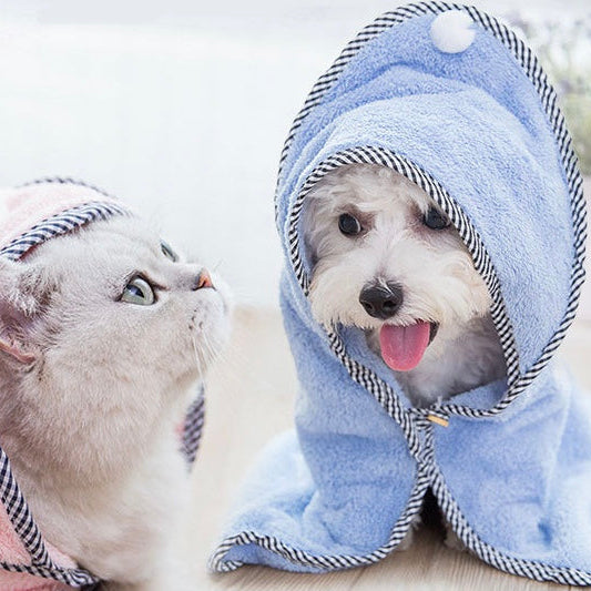 Two small animals, likely a cat and a dog, wearing colorful hooded robes.