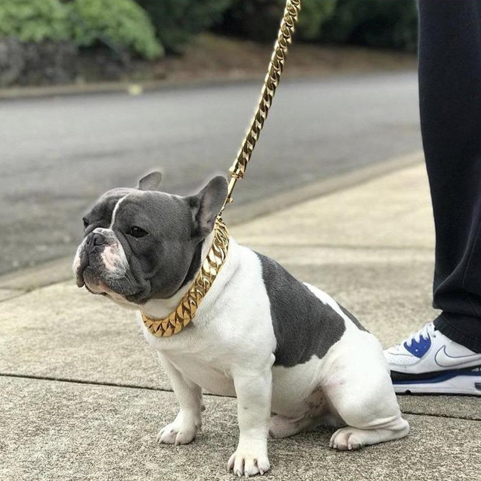 Kilo Cuban Link | Leash