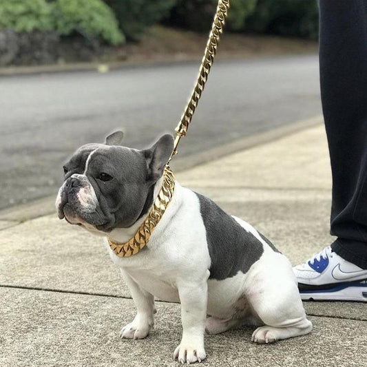 Kilo Cuban Link | Leash