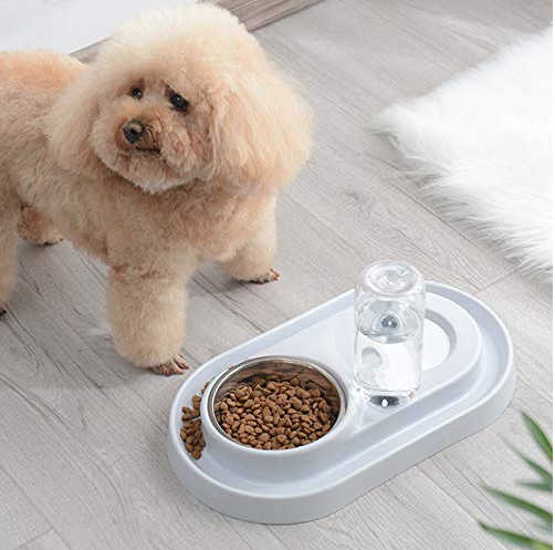 Pet Bowl with Automatic Water Bottle