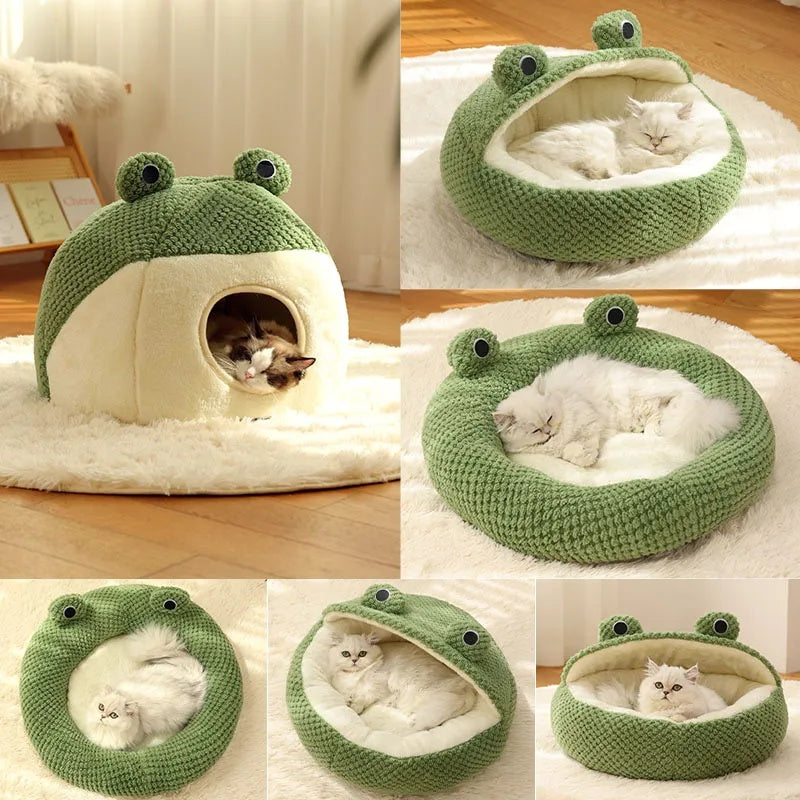Pet Nest Little Frog Series