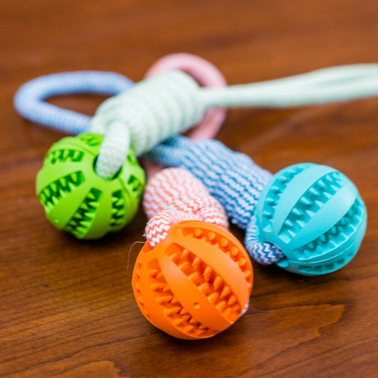 Durable Rubber Ball Chew Toy with Cotton Rope