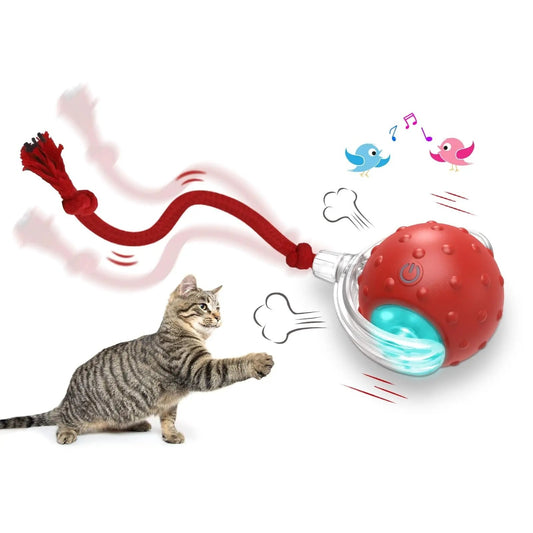 Interactive Super Drive Cat Rolling Ball